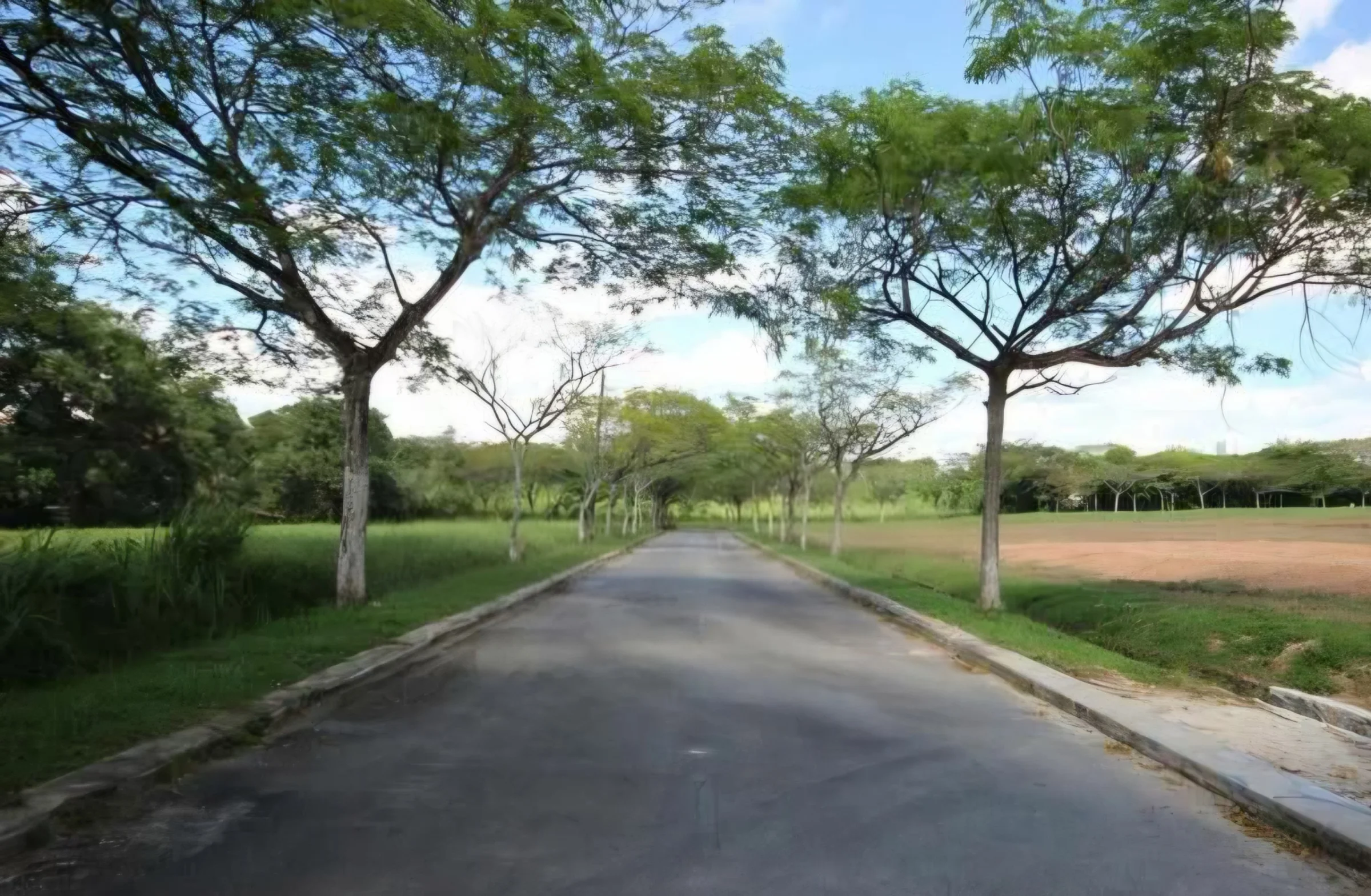 🌿 Leisure Farm Premium Bungalow Land | Over 1 Acre + Elevated Land + Excellent Privacy! · Property image 5