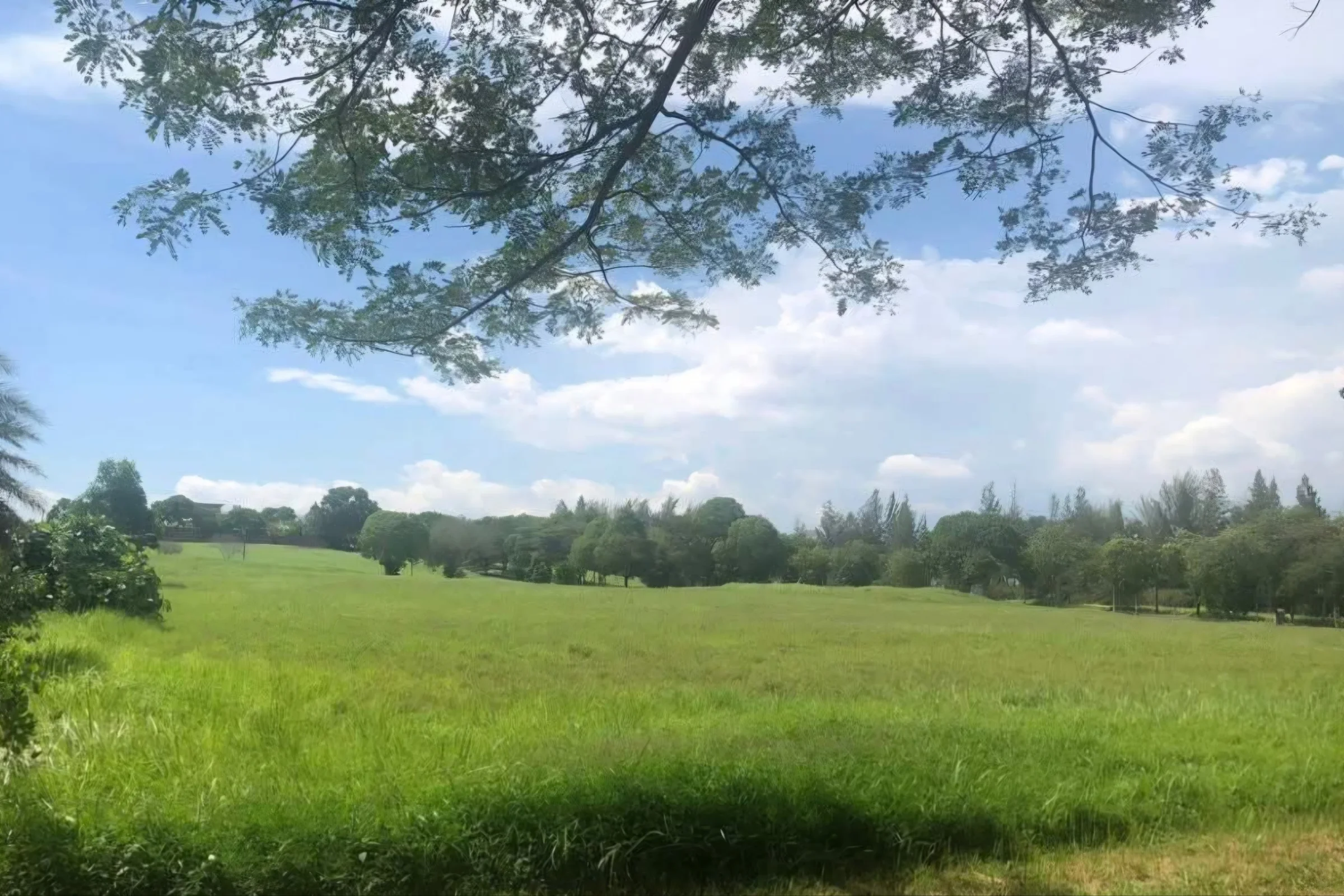 🌿 Leisure Farm Premium Bungalow Land | Over 1 Acre + Elevated Land + Excellent Privacy! · Property image 3