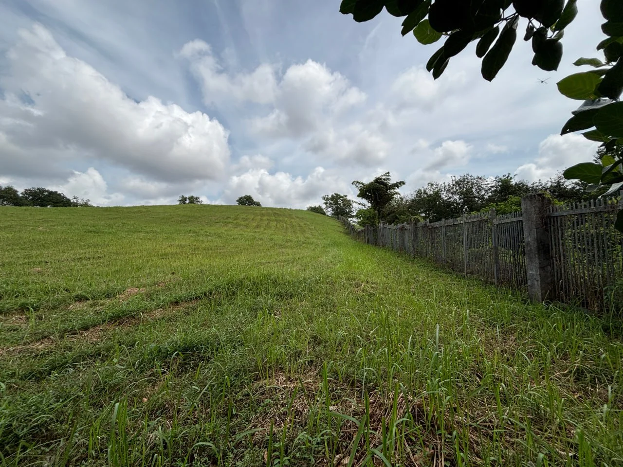 Leisure Farm Residential Land  · Property image 4
