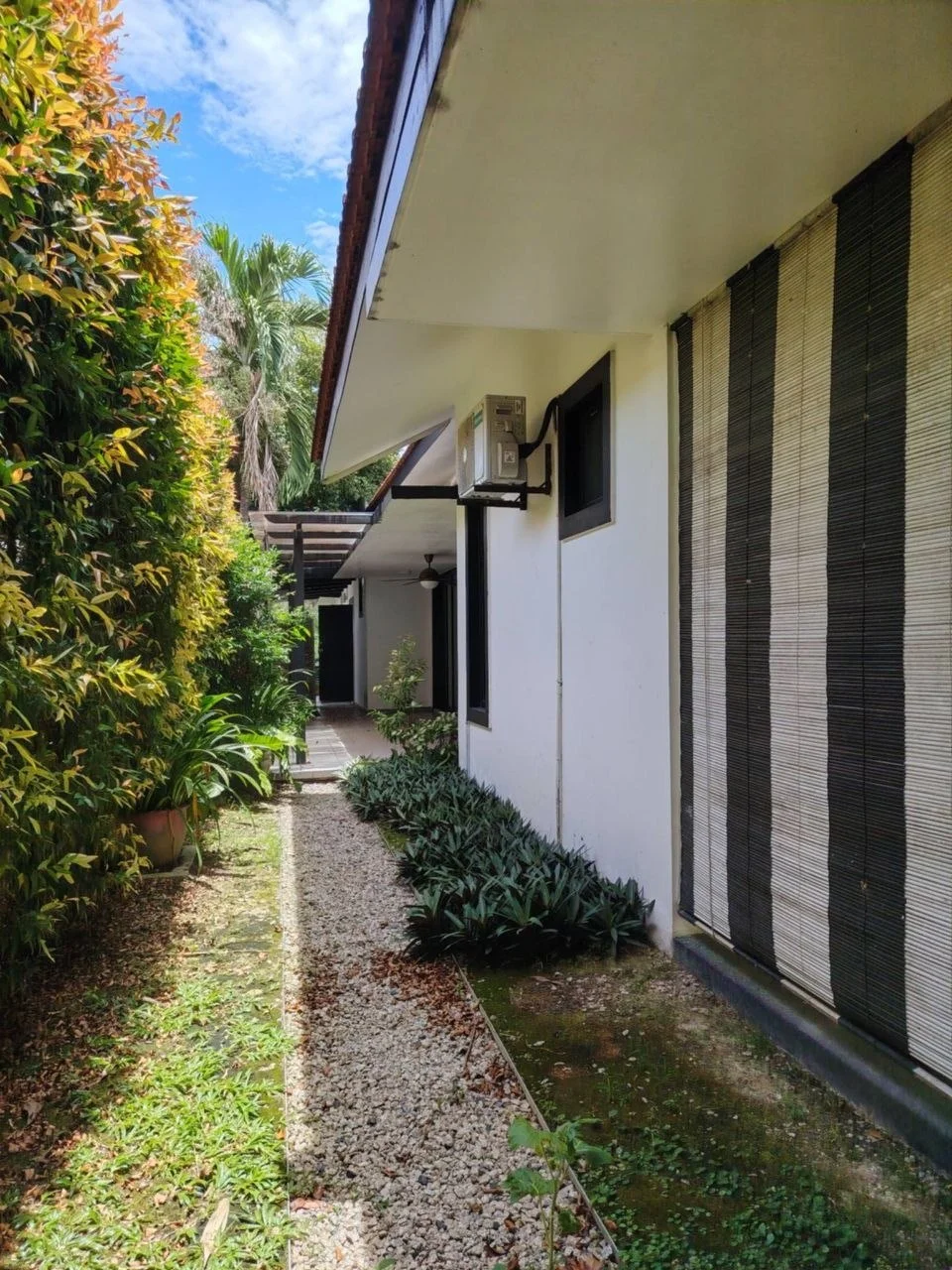 🏡 Ledang Heights 豪华单层独立式洋房 | 巴厘岛风格 + 私人泳池 + 超大地段！ · 房产图片 6